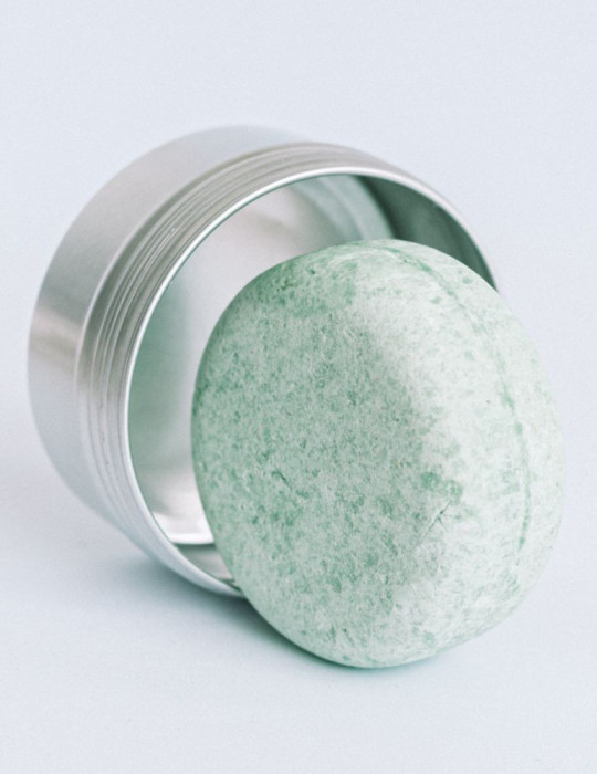 Champú frecuente Fresh Mint | Piel Natura