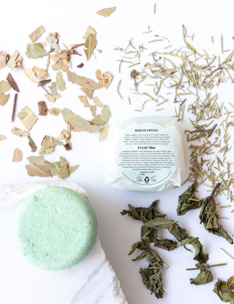 Champú frecuente Fresh Mint | Piel Natura