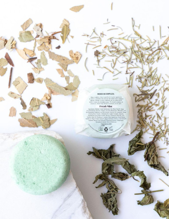 Champú frecuente Fresh Mint | Piel Natura